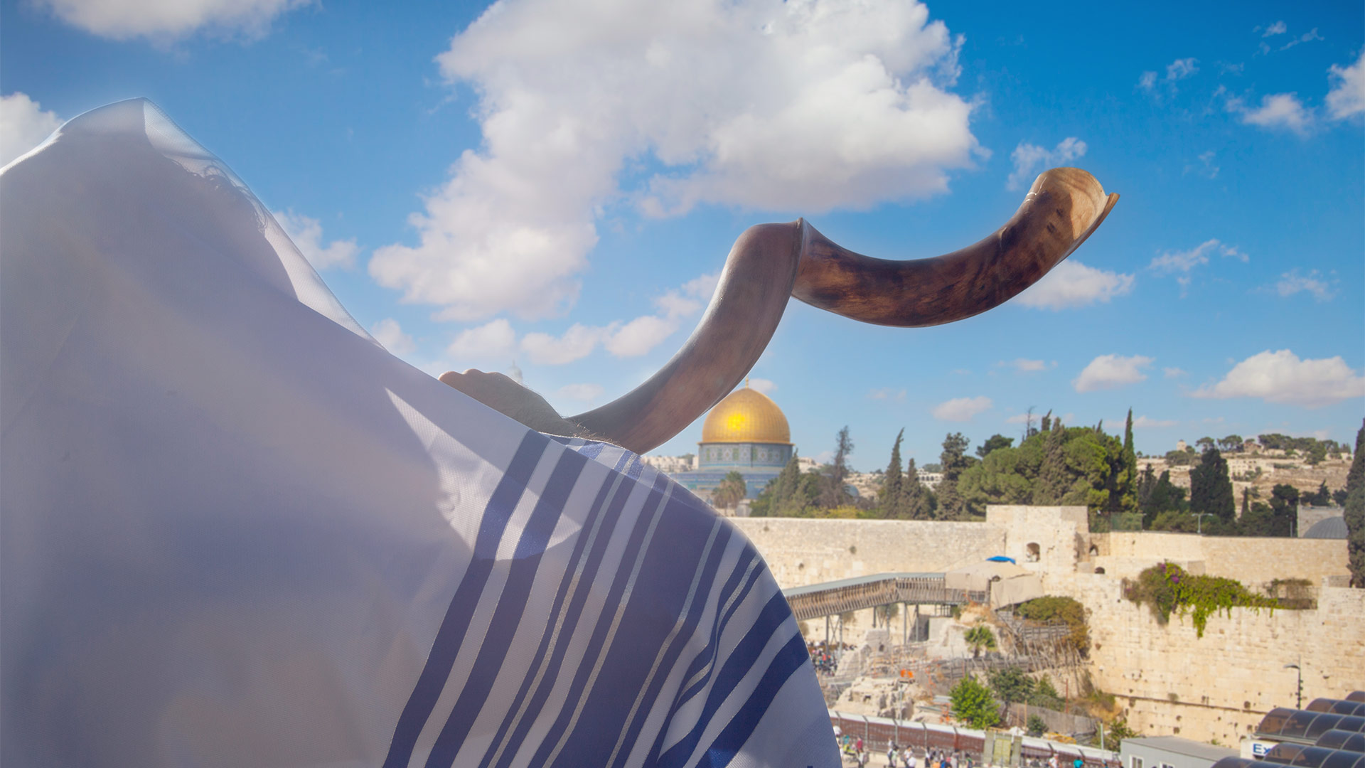 image of shofar