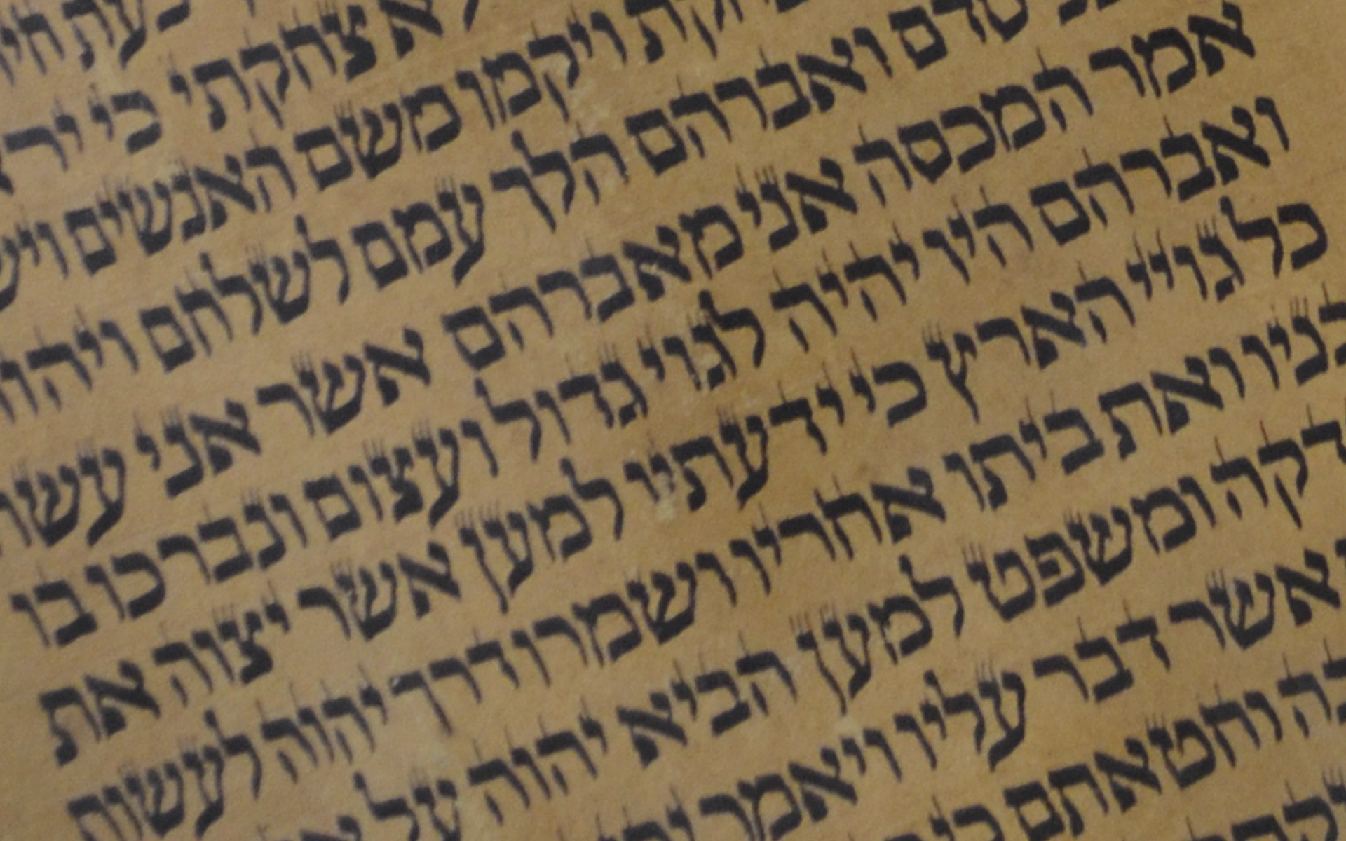 Torah Hebrew Bible